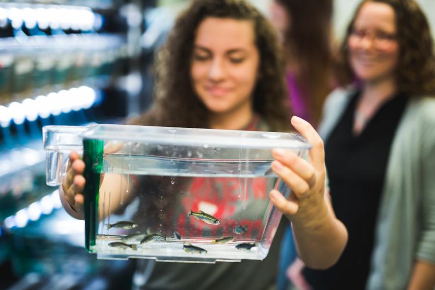 A student conducts summer research on zebrafish with Carthage College Professor Andrea Henle.